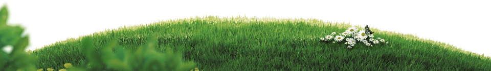 motion-grass